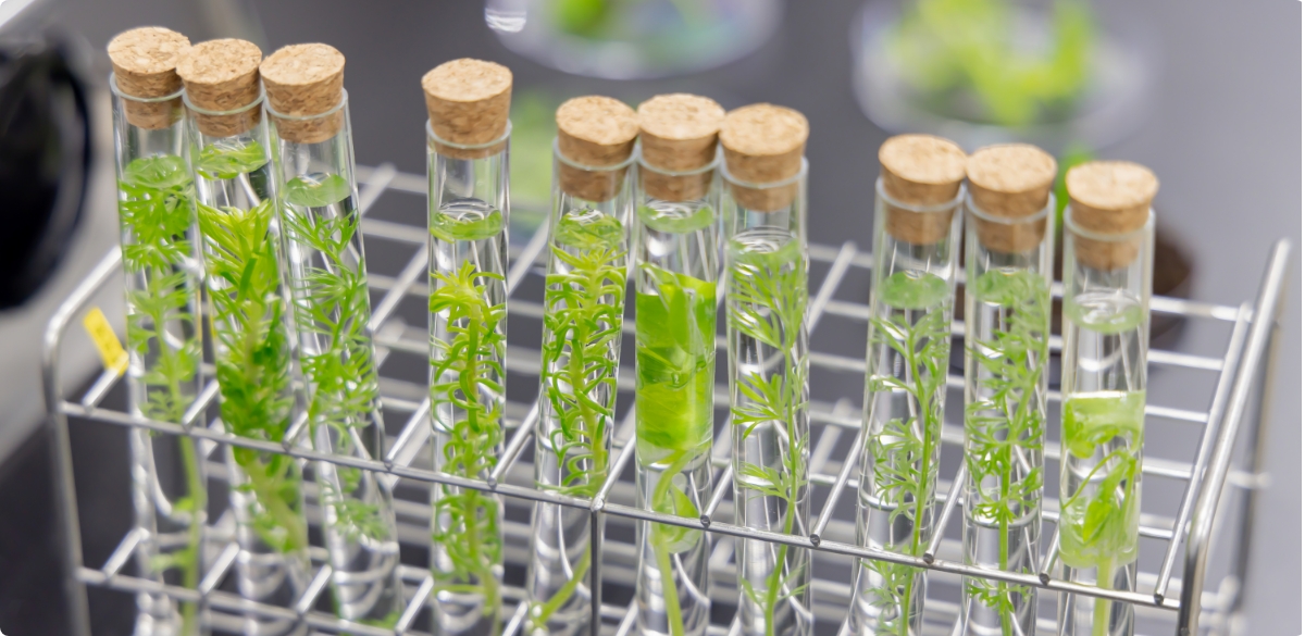 グループ複数社の勤怠管理を統一！[[br]]医薬品開発支援企業がRocoTimeで実現した[[br]]労務管理の最適化